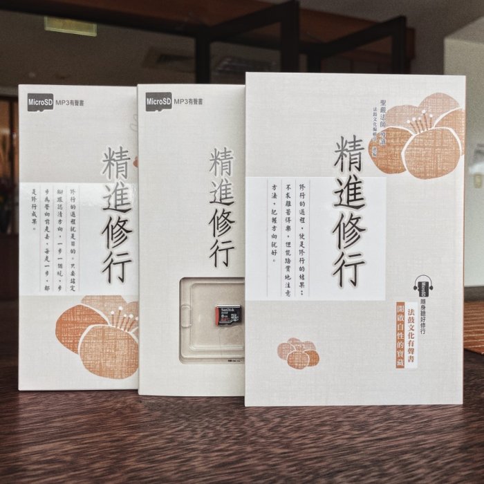精進修行MP3有聲書